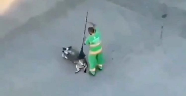 revistacarpediem.com - Varredor de rua é flagrado após cão insistir em impedi-lo a trabalhar
