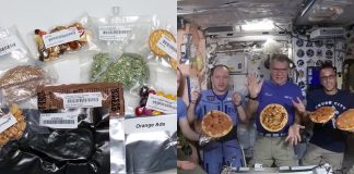 NASA paga 1 milhão de dólares para quem tiver ideias de como alimentar astronautas em Marte
