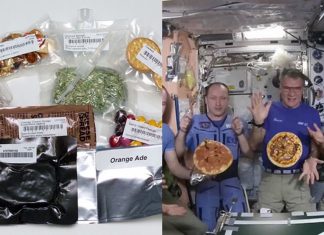 NASA paga 1 milhão de dólares para quem tiver ideias de como alimentar astronautas em Marte