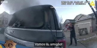 VÍDEO: Policial resgata cão de carro em chamas nos EUA