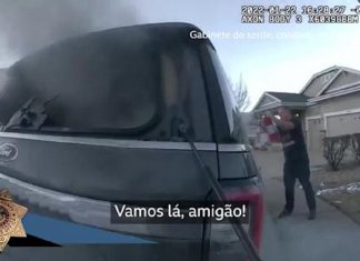 VÍDEO: Policial resgata cão de carro em chamas nos EUA