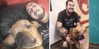 Jovem adota cachorro desenganado por veterinários para dar amor a ele em seus últimos dias