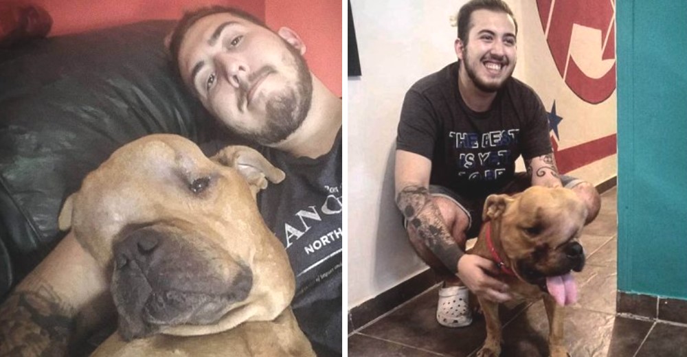 Jovem adota cachorro desenganado por veterinários para dar amor a ele em seus últimos dias