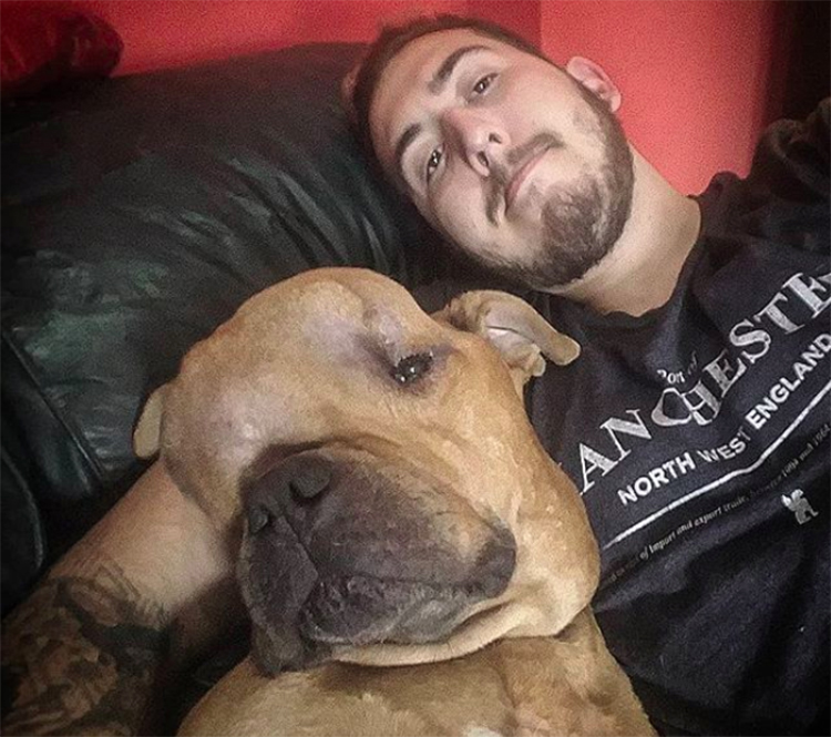 thanos perro con tumor cerebral 2 argentina - Jovem adota cachorro desenganado por veterinários para dar amor a ele em seus últimos dias